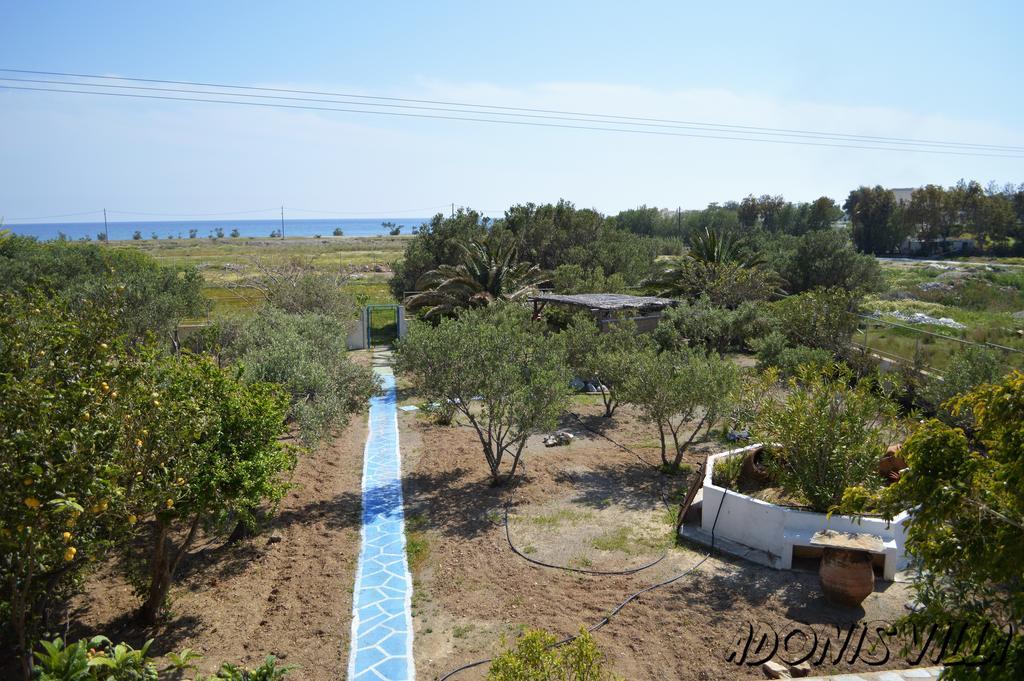 Adonis Villa Koutsounari Exteriér fotografie