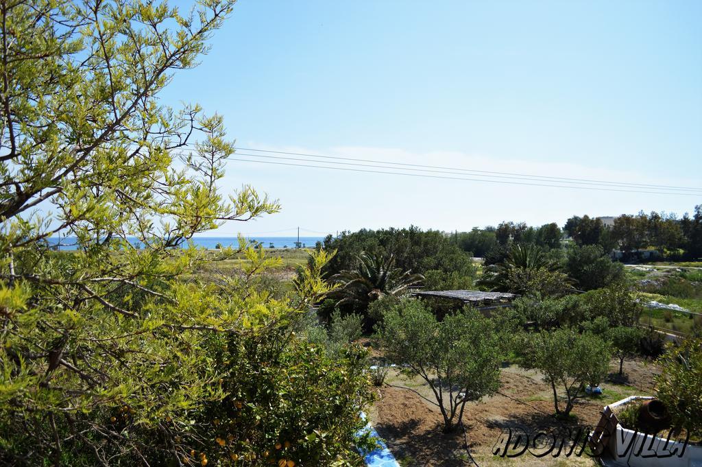 Adonis Villa Koutsounari Exteriér fotografie